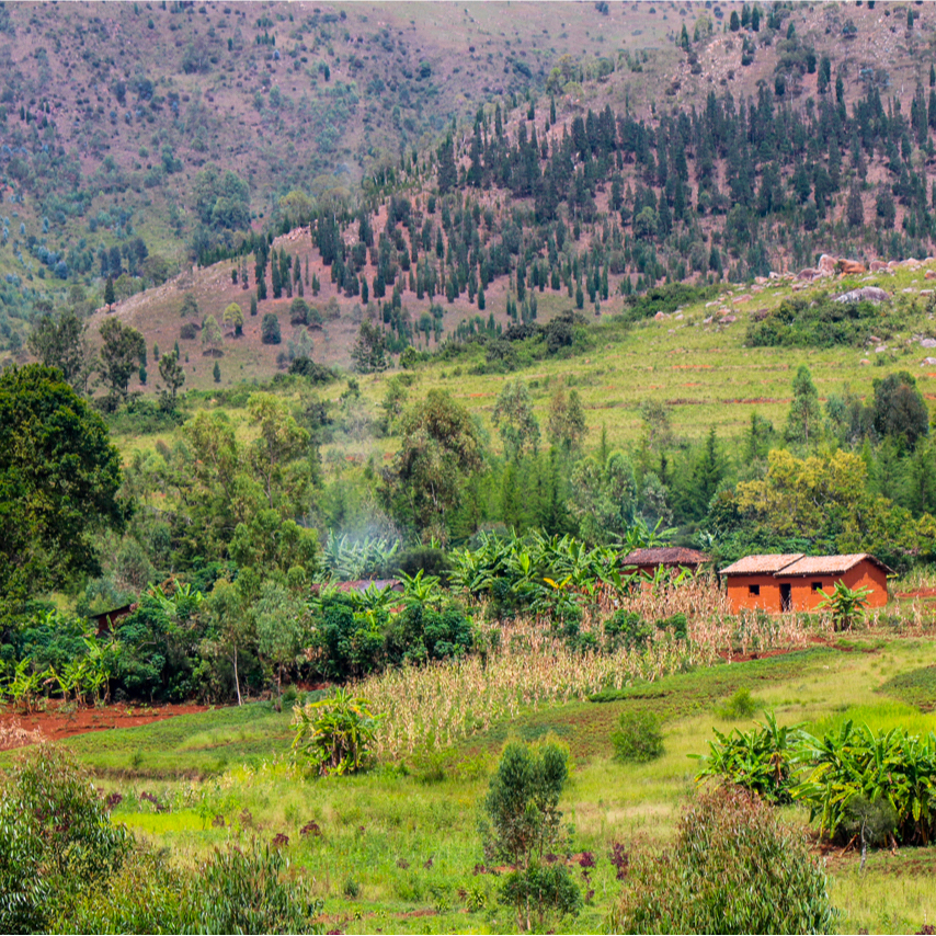 A farmer household in Gitega, Burundi, with terraces and eroding hilltops.